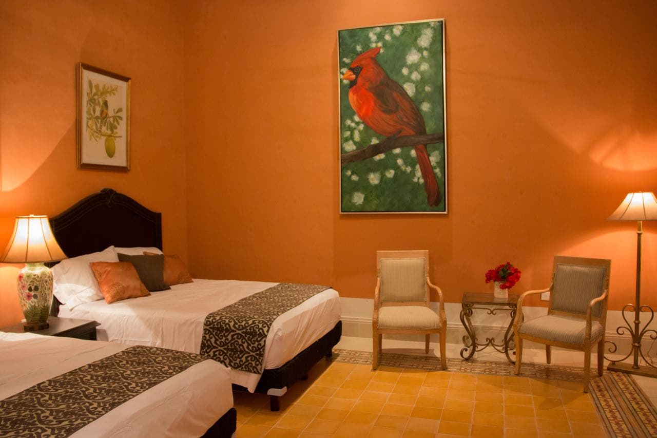 /images/cardenal/slides/12.jpg